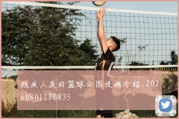 残疾人友好篮球公园设施介绍_20260801170835