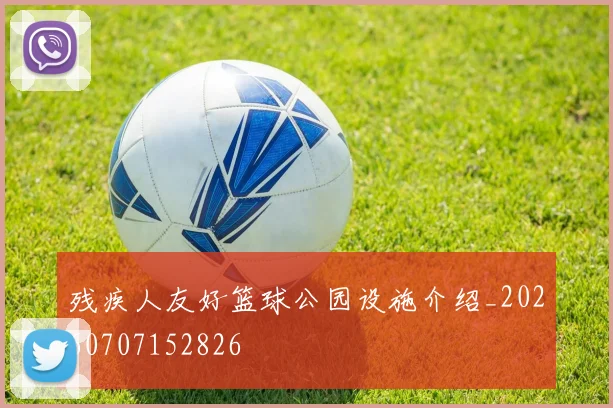 残疾人友好篮球公园设施介绍_20260707152826
